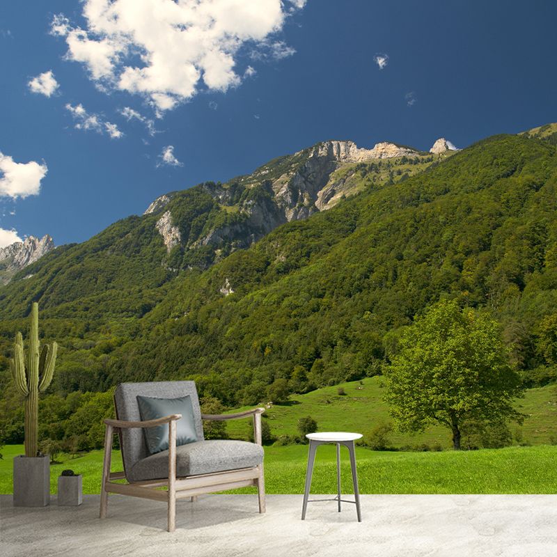 Mountain Scenery Wall Mural Modernism Style Wall Decoration for Study Room