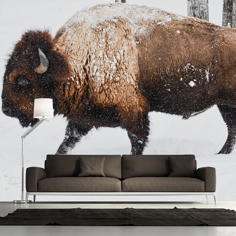 Bison Animal Contemporary Wall Art Personalized Size Mural Wallpaper for Sitting Room