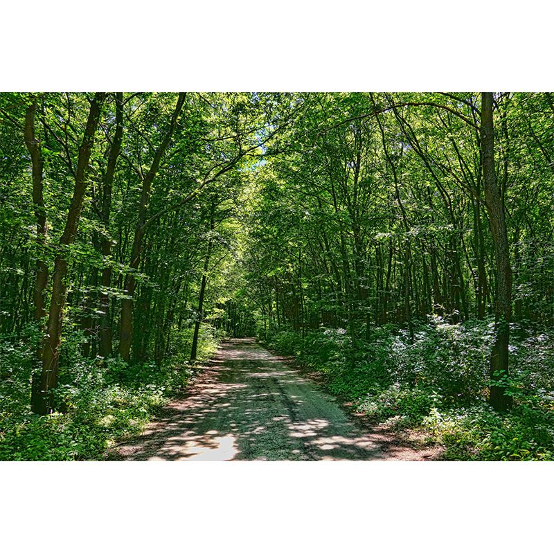 Photography Style Space Extension Mural Wallpaper Mildew Resistant for Room