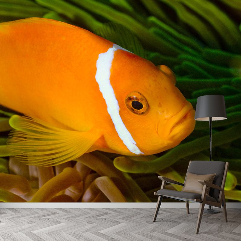 Underwater Mural Contemporary Photography Wall Covering for Home Decor
