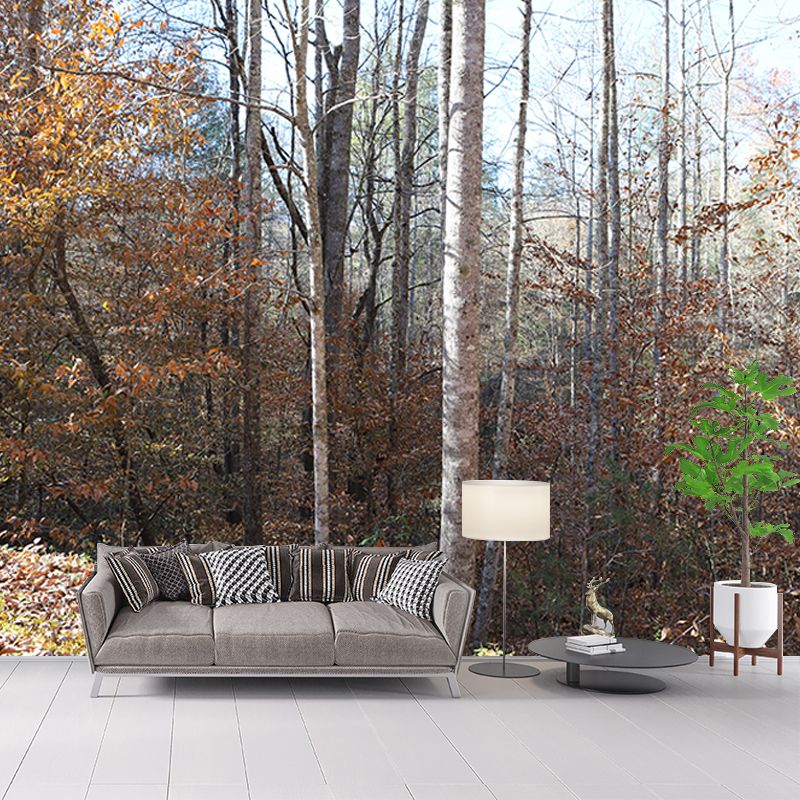 Autumn and Winter Forest Scenery Mural Wallpaper for Home Decor, Moisture Resistant