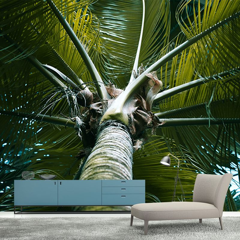 Tropical Palm Tree Wall Paper Murals Decoration for Gust Room, Made to Measure