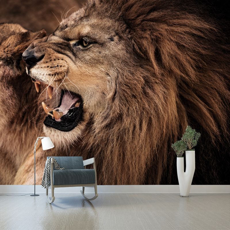Big Roaring Lions Wall Mural Brown Non-Woven Fabric Wall Decor, Washable, Custom Made