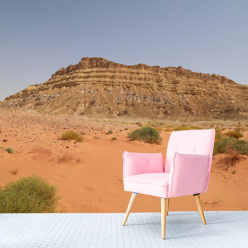 Customized Desert Mural Decorative Mildew Resistant Environmental for Bedroom