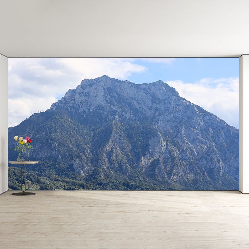 Steep Mountain Full Size Waterproofing Contemporary Wall Covering for Office