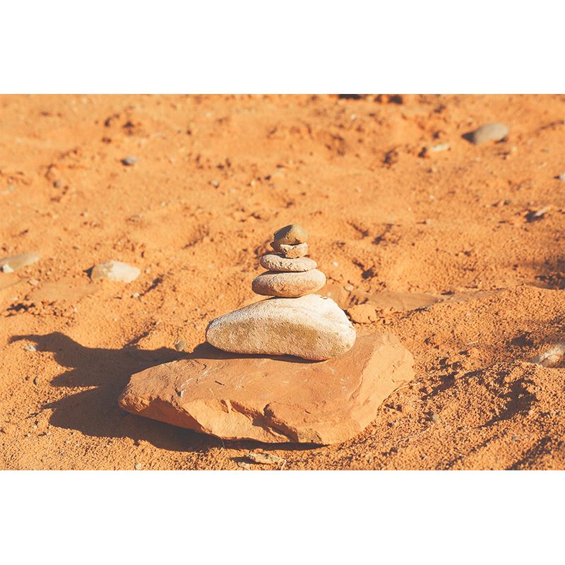 Modern Desert Wall Mural Wallpaper Mildew Resistant for Living Room