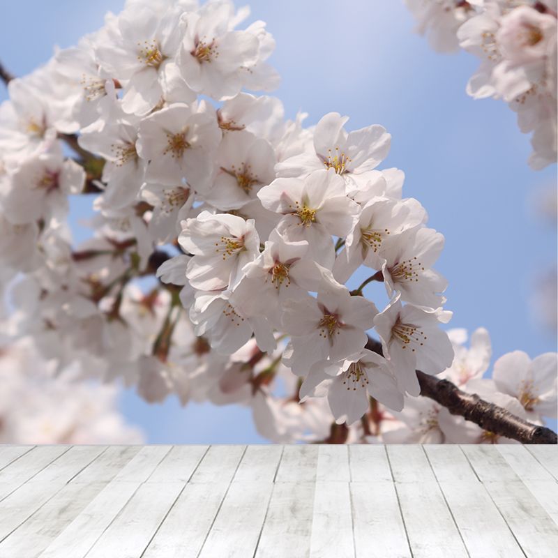 Cherry Mural Wallpaper Modern Decorative Bedroom Wall Covering, Custom Size Available