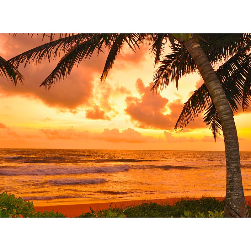 Tropical Scenery Modern Style Photography Wall Mural Wallpaper Bedroom Wall Mural