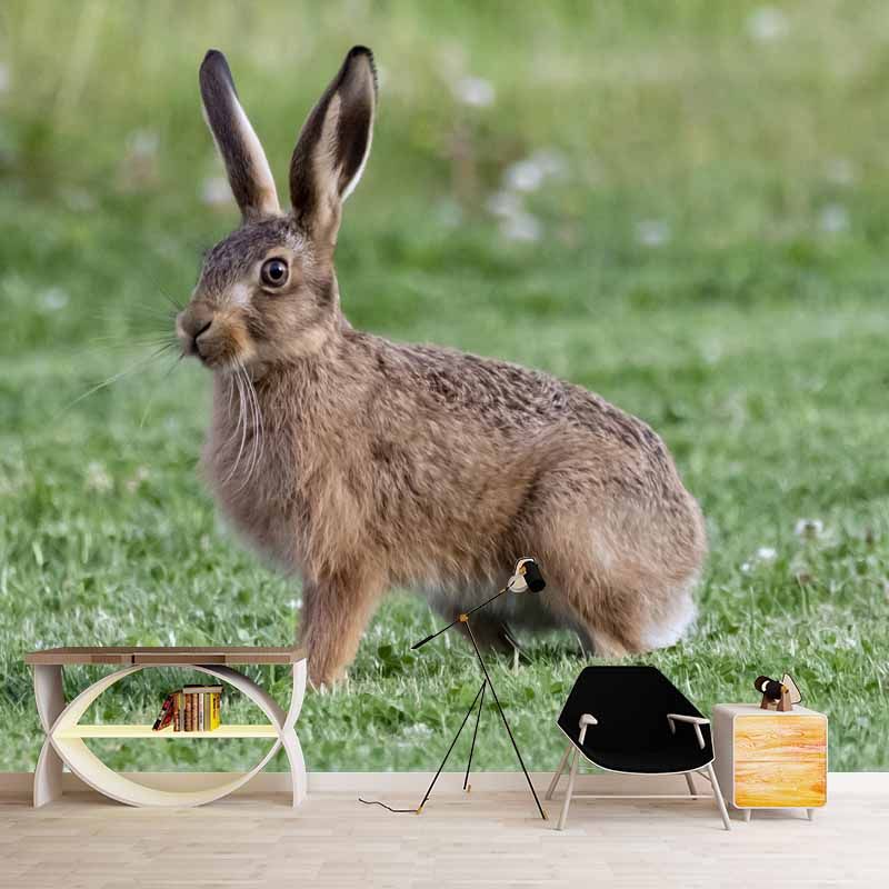Horizontal Photography Hare Wall Mural Decorative Mildew Resistant for Living Room