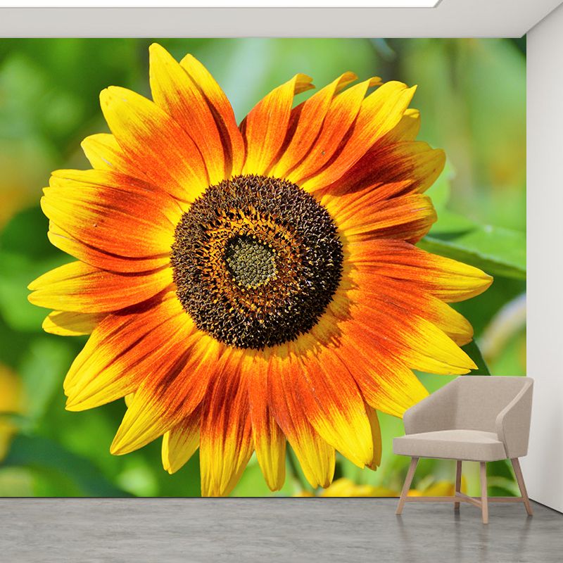 Sunflower Wall Covering for Living Room Flower Mural, Moisture-Resistant