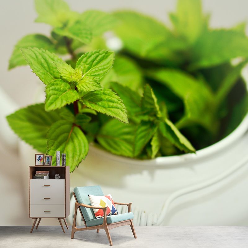 Contemporary Mint Mural Environment Friendly Wallpaper for Living Room
