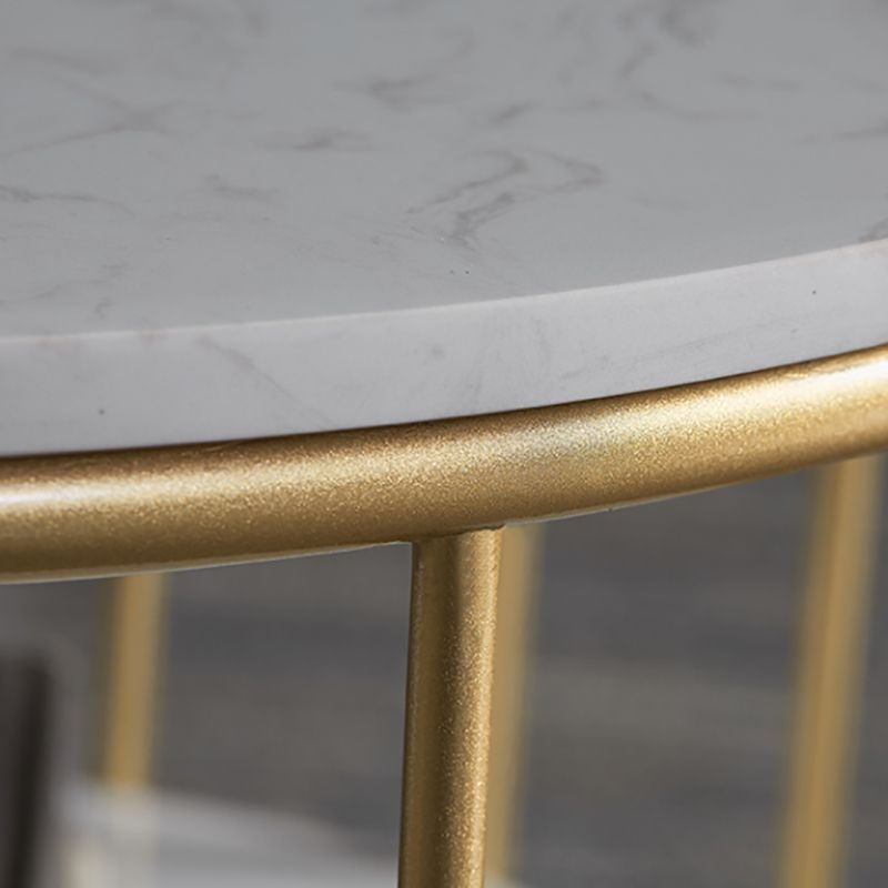 Glam Oval Coffee Table with Marble Top and Storage Shelf and Steel Base