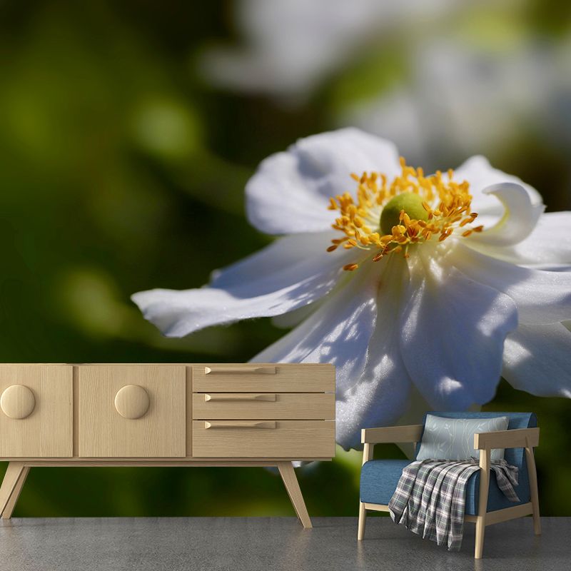 Customized Moisture Resistant Mural Wallpaper Decal Autumn Anemone Wall Decor