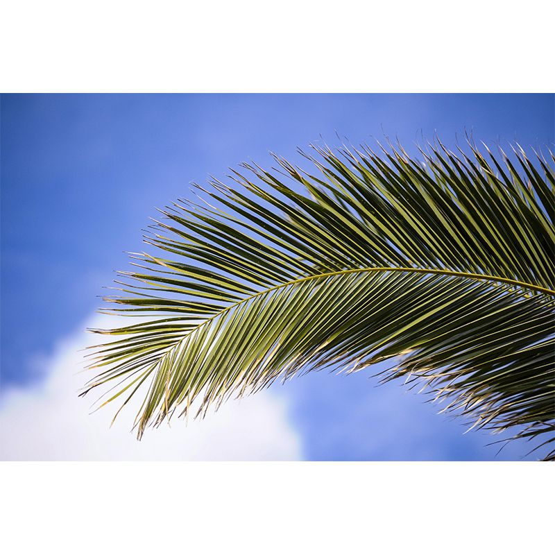 Decorative Wall Mural Tropical Plant Leaf Printed Sitting Room Wall Mural