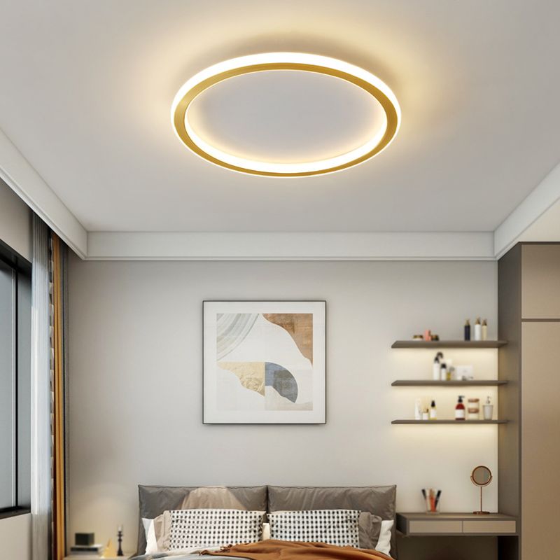 Simplicity Ceiling Lamp Linear LED Flush Mount Light Fixture with Acrylic Shade