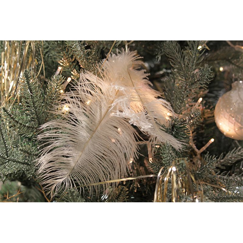 Plumage Wall Mural for Guest Room, Moisture Resistant, Personalized Size Available