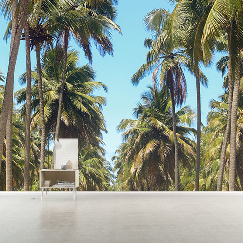 Tree Mural Tropical Mildew Resistant Palm Photography Sitting Room Wall Mural