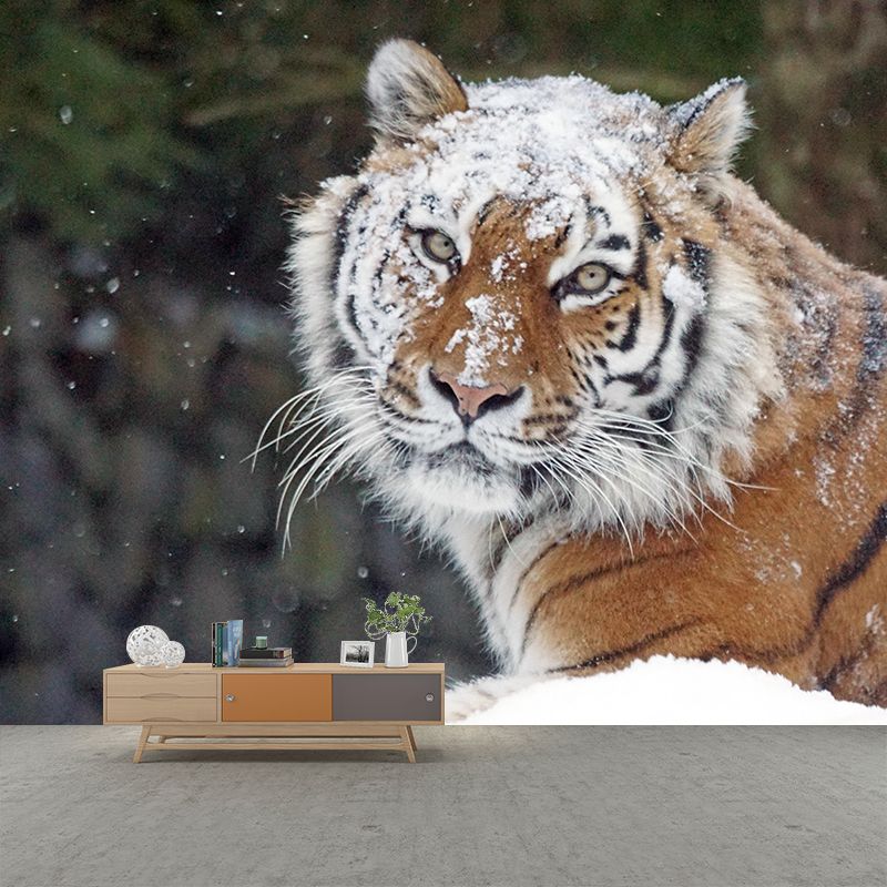 Siberian Tiger Mural Decal Eco-friendly Wallpaper Customized Wall Covering for Sitting Room