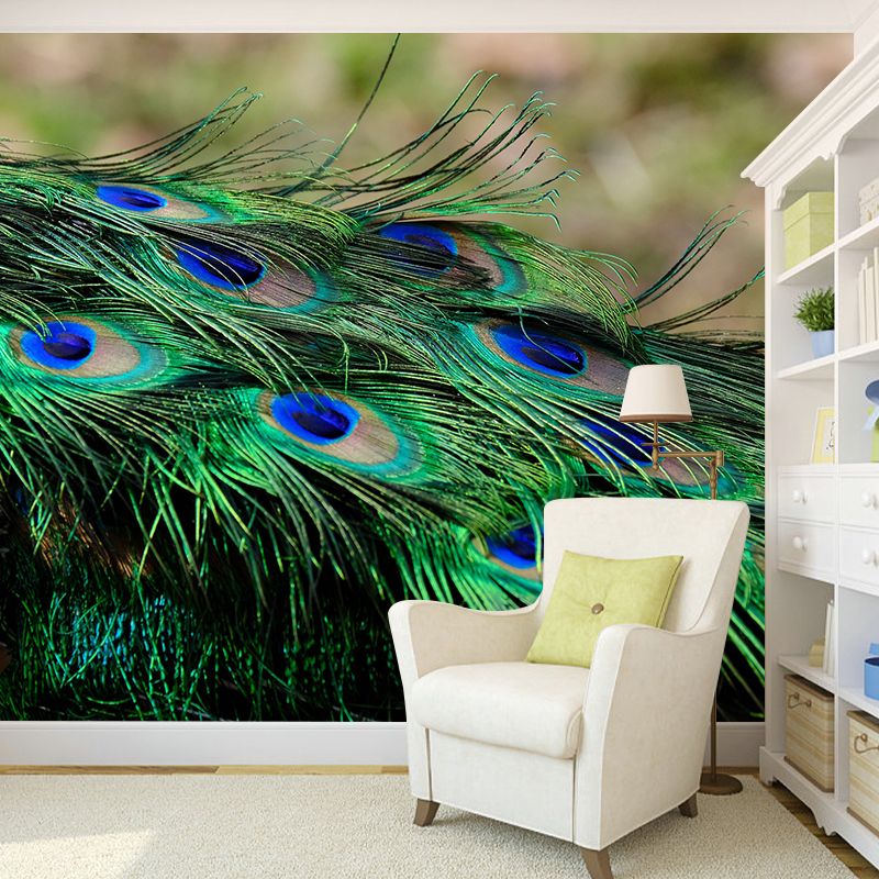 Peel and Stick Wallpaper Mildew Resistant Photography Feather Print Contemporary