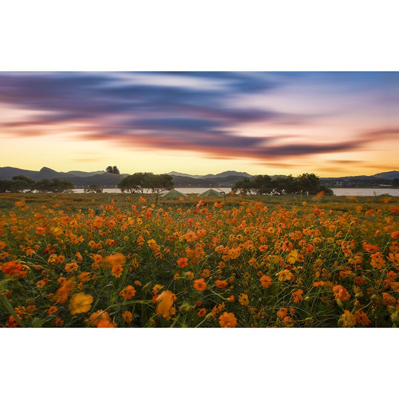 Photography Stain Resistant Mural Wallpaper Flowers Living Room Wall Mural