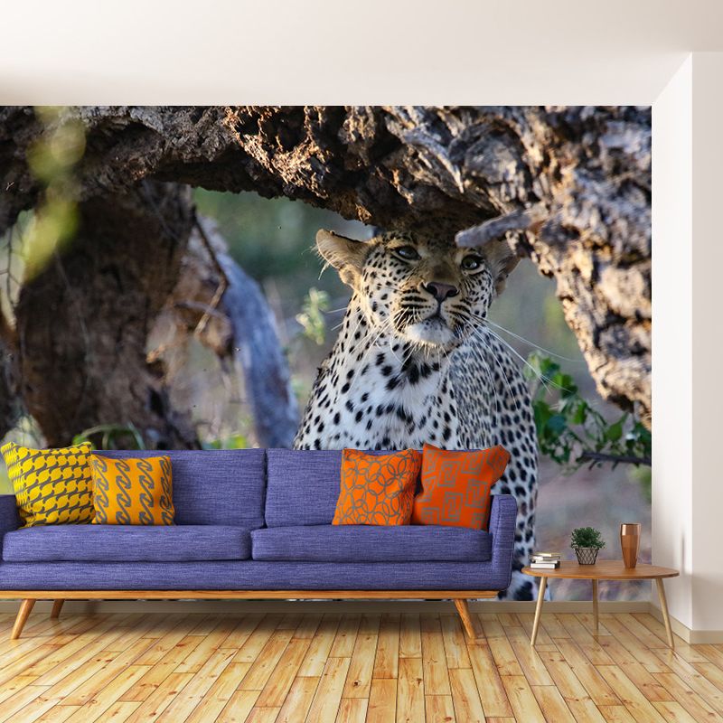 Creative Leopard Animal Wallpaper Mural Full Size Bedroom Decor Design