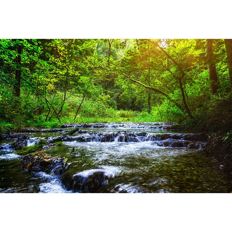 Natural Landscape Wall Mural Contemporary Living Room Wall Art for Decoration