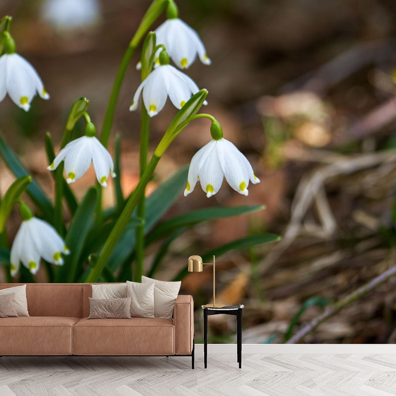 Horizontal Photography Snowdrops Wall Mural for Living Room Girls Women Bedroom