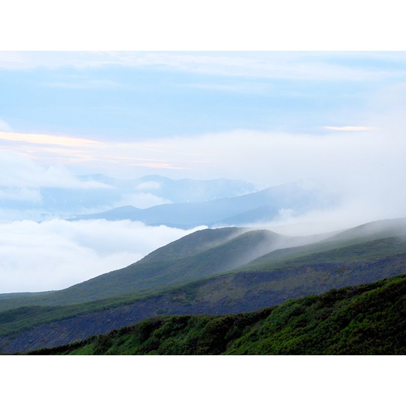 Quiet Mountain View Mural for Living Room Decoration Moisture Resistant, Custom Size Available