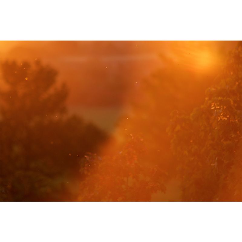 Cloudy Sky Mural Wallpaper Contemporary Wall Covering for Sleeping Room