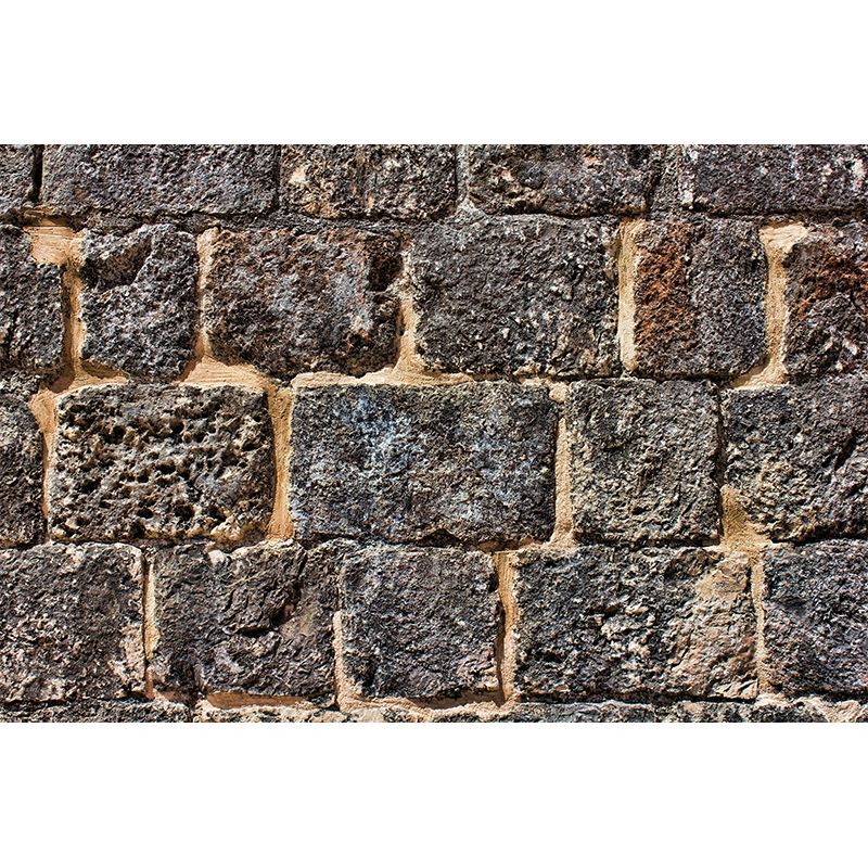 Photography Brick Mural Decal Mural Wallpaper Bedroom Moisture Resistant