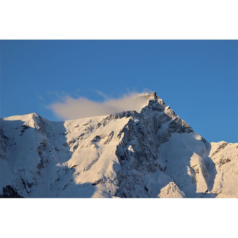 Alpine Wall Covering Water Resistant Mural Wallpaper for Home Decoration