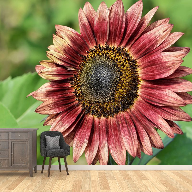 Blooming Sunflower Wall Mural for Living Room Decoration, Made to Measure