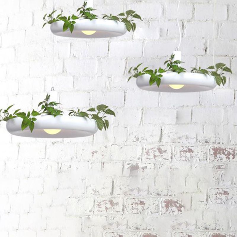 Single-Light Metal Frame Plant Pendant Light for Dinning Room Bedroom Hanging Lamp (Without Plants)
