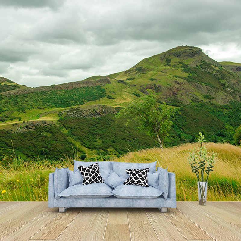 Mountain Landscape Mural Wallpaper Water Resistant Wall Covering for House Interior