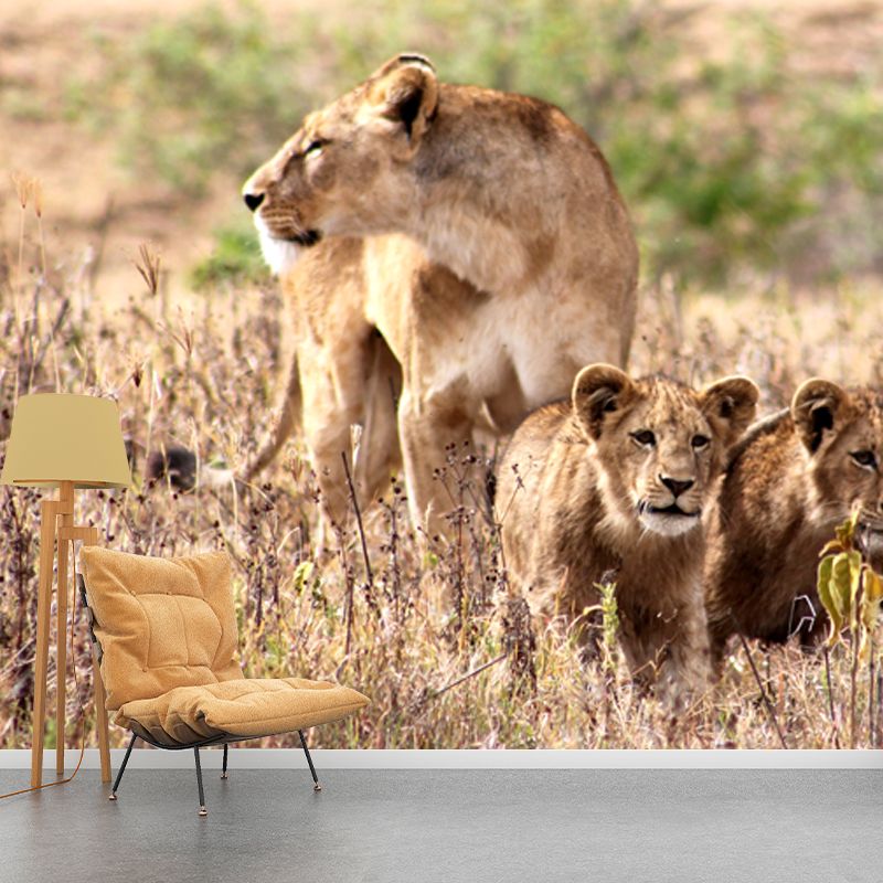 Lion and Its Child Mural Wallpaper Brown Modern Style Wall Decor for Family Room
