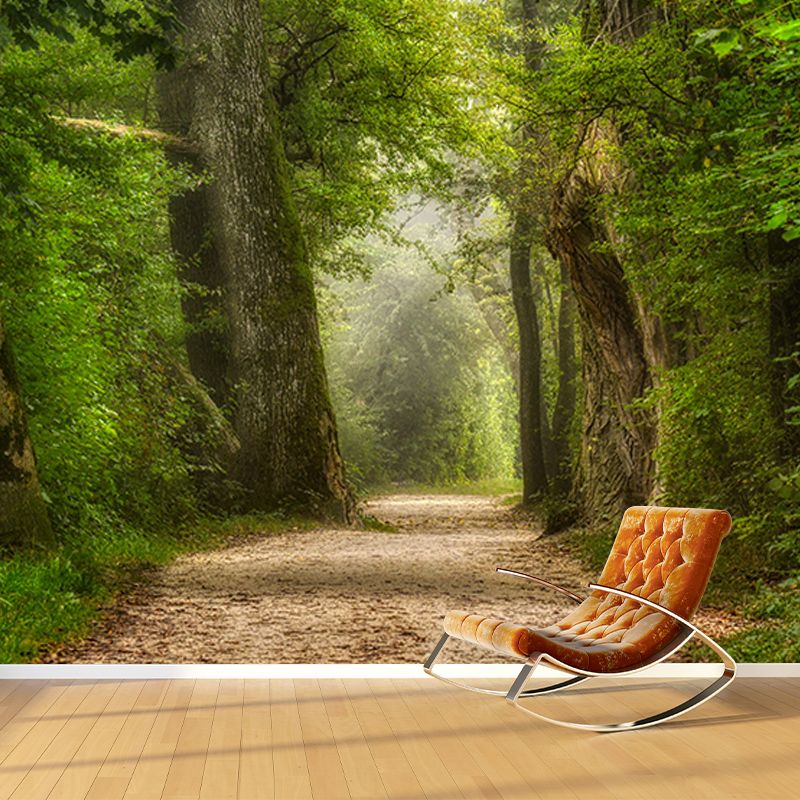 Photography Stain Resistant Mural Wallpaper Forest Path Living Room Wall Mural