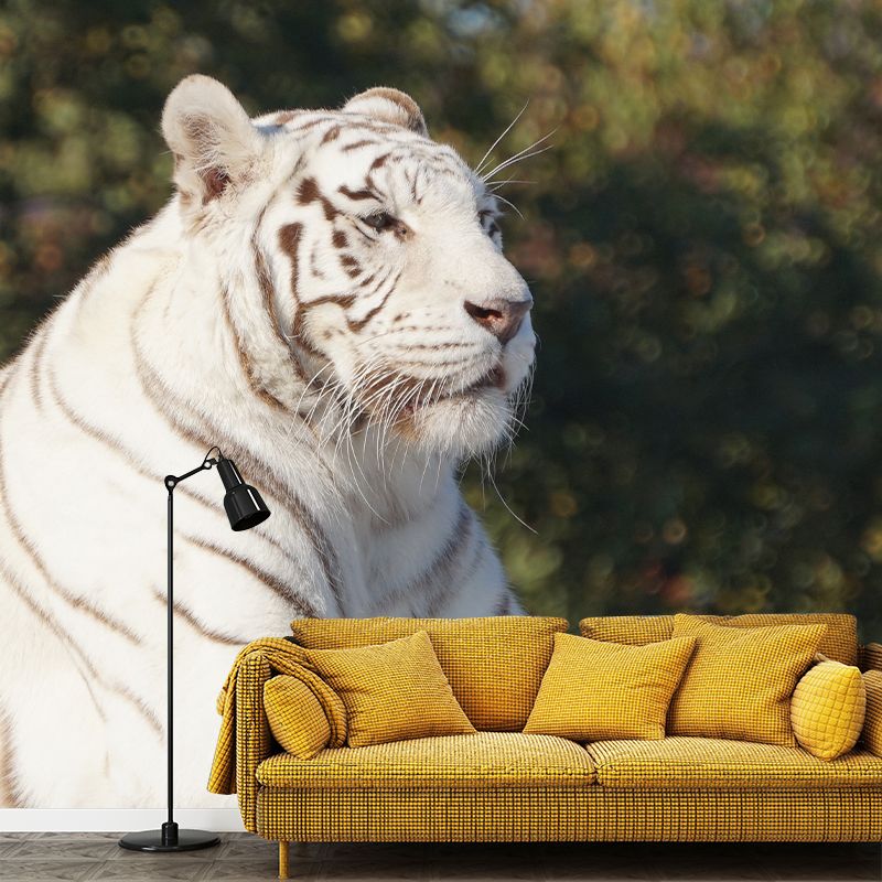 Tiger Animal Mural Wallpaper for Sitting Room Water Resistant, Made to Measure