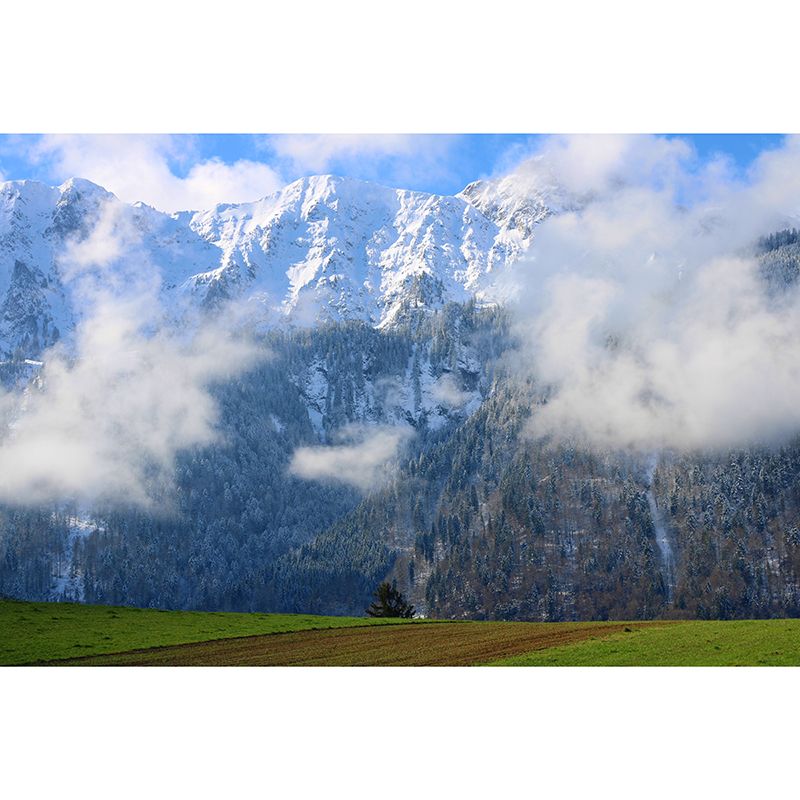 Stain Resistant Modern Wallpaper Stain Resistant Photography Bedroom Wall Mural