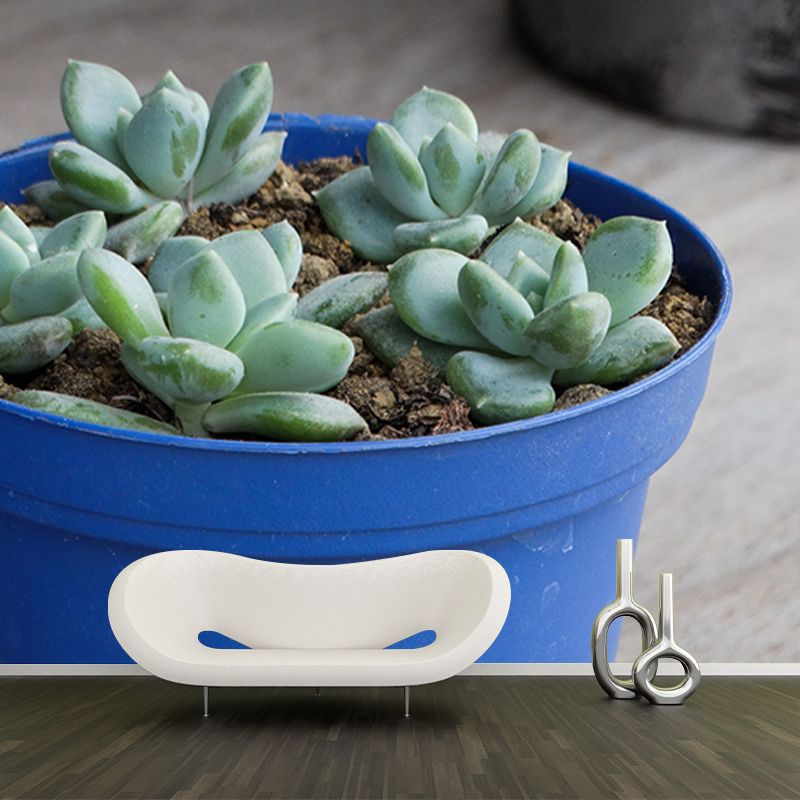 Houseplant Photo Wall Mural for Sleeping Room Home Decor, Made to Measure