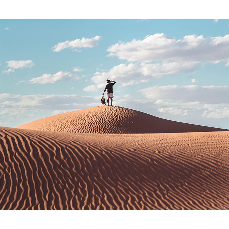 Endless Desert Mildew Resistant Wall Wallpaper Room Wall Mural