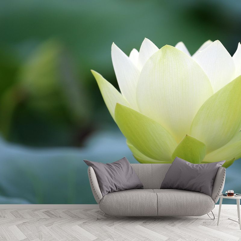 Modern Lotus Mural Wallpaper Stain Resistant Wall Covering for Living Room
