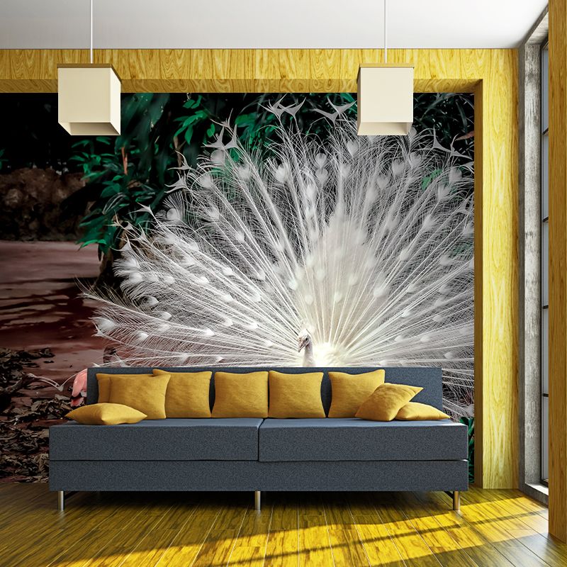 Peacock Mural Wallpaper Water Resistant for Sitting Room, Custom Size Available