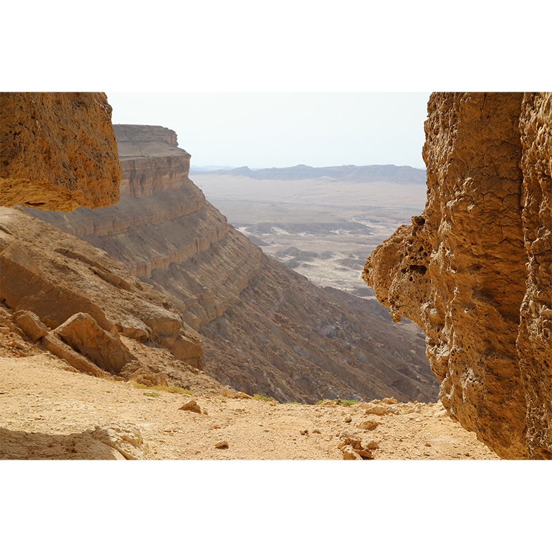 Barren Desert Landscapes Mural Mildew Resistant Wallpaper for Reading Room