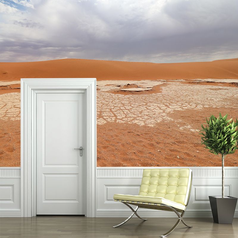 Contemporary Photography Style Desert Mural Wallpaper Mildew Resistant for Home