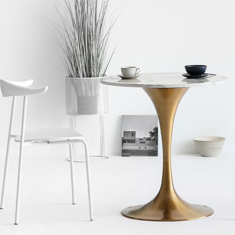 Metal Modern Round Dining Table Marble Top Indoor Table with Tulip Base