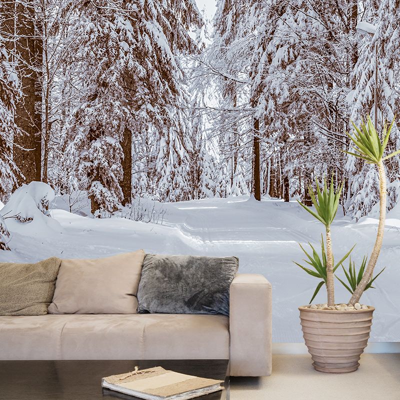 Photography Environment Friendly Mural Wallpaper Beautiful Forest Living Room Wall Mural