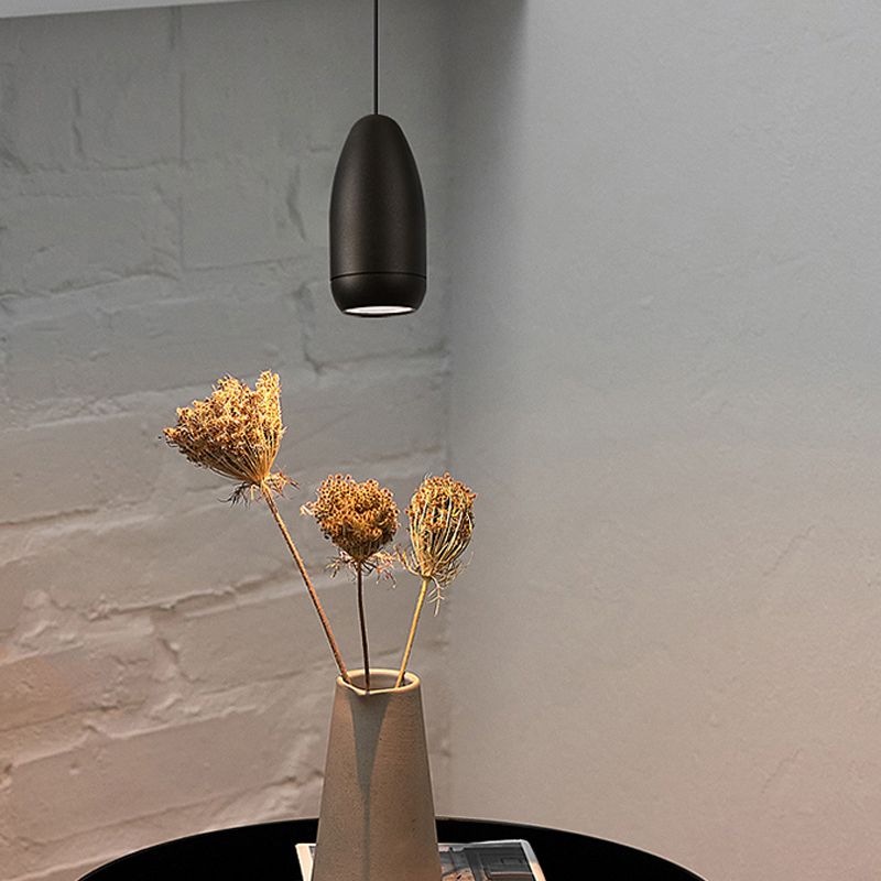 1 Lichthänge-Leuchten Kugeln Einfachheit LED-Federung für das Restaurant