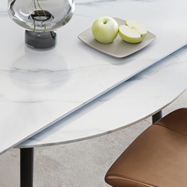 Contemporary Style Round Dining Table Set 1/4/6/7 Pieces Sintered Stone Dining Set