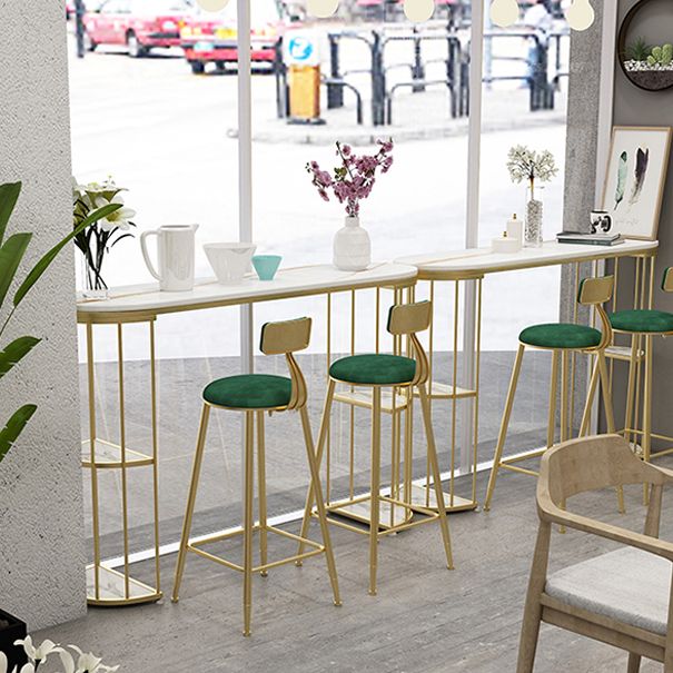 Contemporary Storage Counter Height Table Oval Double Pedestal Table Only