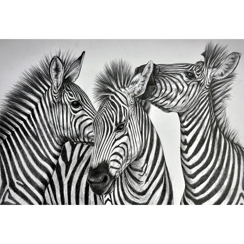 Modern Zebra Wall Mural Non-Woven Water-Proof Light Color Wall Art for Boys Bedroom